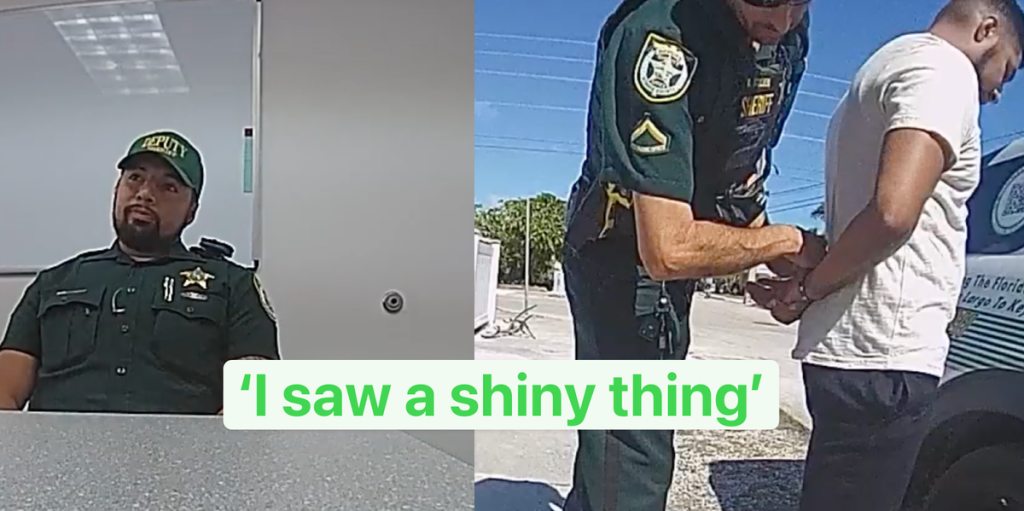 ‘I Saw a Shiny Thing’: Cop Explains Why He Used License Plate Reader to Stalk Woman